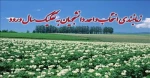 زمان انتخاب واحد نیمسال دوم تحصیلی 96-95 دانشجویان  آموزشکده فنی و حرفه ای دختران ارومیه