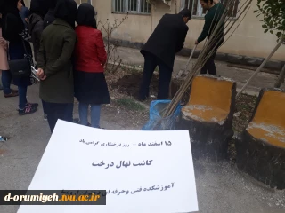 کاشت نهال به مناسبت روز درختکاری در آموزشکده فنی وحرفه ای دختران ارومیه