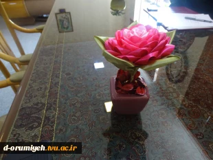 قرارداد تولید گلدانهای تزئینی با حضور سرپرست آموزشکده فنی و حرفه ای دختران ارومیه دکتر رقیه اشرفی و مهندس یارمحمدی مشاور شهردار ارومیه در امور بانوان منعقد گردید. 4