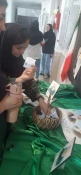 برگزاری سه شنبه مهدوی توسط کانون قرآن و عترت آموزشکده ملی مهارت دختران ارومیه 2